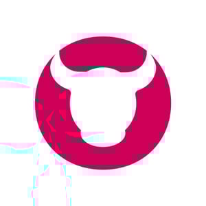 Kyloe Partners – Your Bullhorn specialists